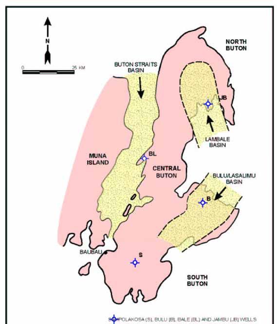 Dari analisa data penginderaan jauh terlihat adanya terumbu yang tumbuh dibagian selatan Pulau Buton dan adanya estuarin yang tenggelam dan