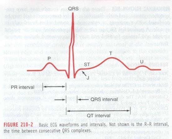 BACA DAN INTERPRETASI EKG - Frekuensi atau Kecepatan - Irama - Aksis QRS -