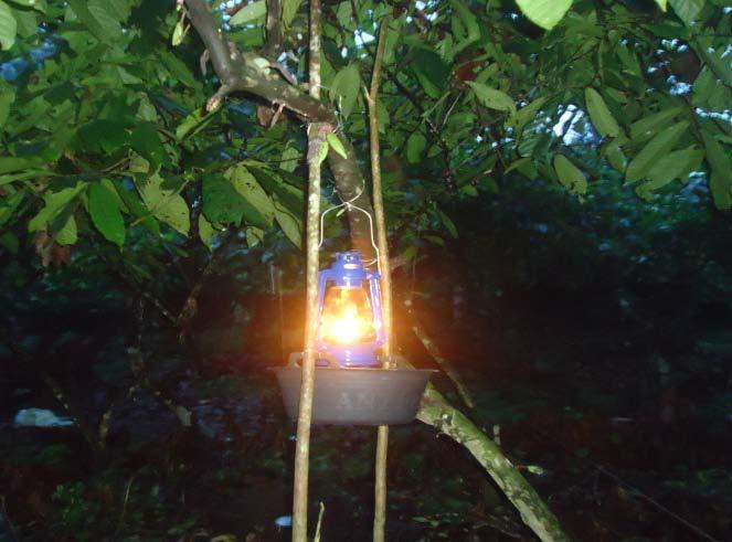 Gambar 11.Perangkap Lampu (Light Trap) Perangkap Lampu (Light Trap) Perangkap ini digunakan untuk menangkap serangga yang respon terhadap cahaya pada malam hari (nocturnal).