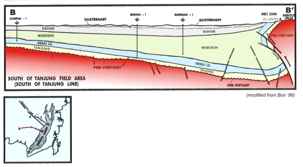 Kusuma (1989) formasi ini merupakan sekuen deltaik prograding regressive. Formasi Warukin terdiri dari batulempung karbonan, batupasir karbonan (deltaik) dan batubara.
