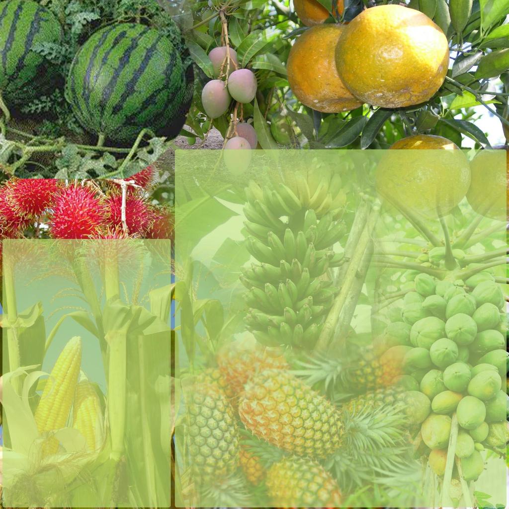 Ucapan Terima Kasih Berdasarkan hasil Pendataan ST2013, Jumlah rumah tangga usaha pertanian di Kota Bontang Tahun 2013 sebanyak 3.