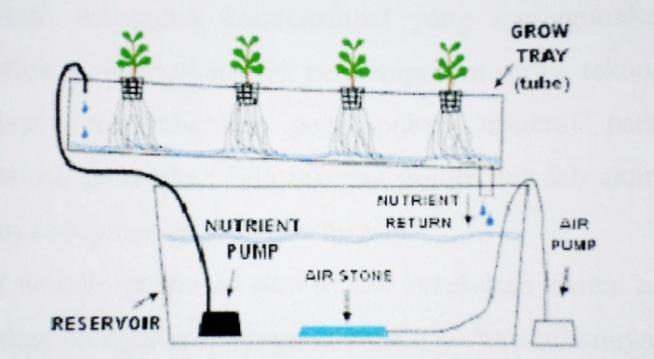 8 3. Nutrient Film Technique (NFT) Pada sistem NFT larutan nutrisi dipompa ke dalam tempat penanaman dan mengaliri akar-akar tanaman, larutan nutrisi kemudian kembali ke dalam reservoir.
