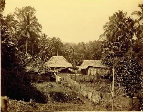 Desa Empang Bogor