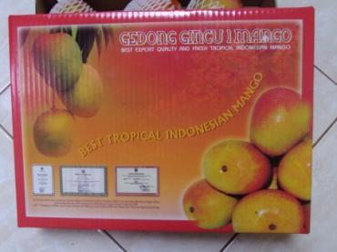 Untuk karton kapasitas 3 kg, memuat 10 buah mangga gedong gincu dengan bobot 300 g per buah.