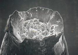 mm Gambar permukaan patahan dari kawat pada ban. Sumber: V.J.