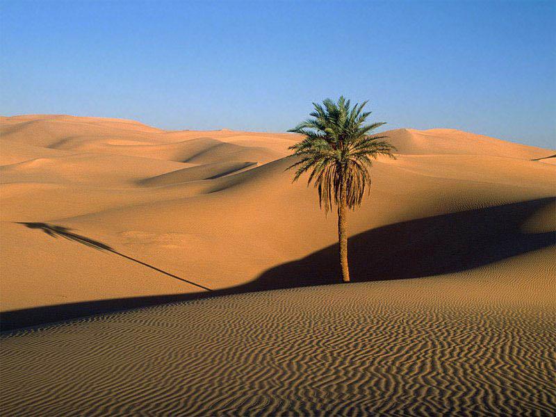 PENGERTIAN Padang Pasir Dalam istilah geografi, gurun, padang pasir adalah suatu daerah yang menerima curah hujan yang sedikit - kurang dari 250 mm