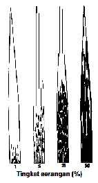 Standar diagram blotch batang gandum (Septoria nodorum) (James, 1971).