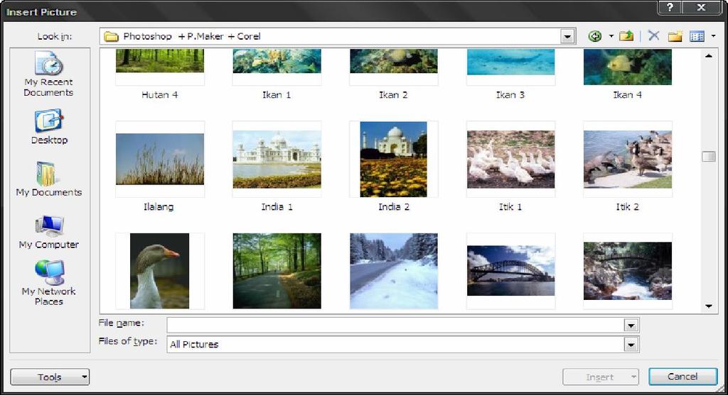 2. Insert Picture (From File) Berfungsi untuk menyisip gambar yang berasal dari file Photo atau gambar, misalnya dari dalam disket atau dari camera digital.