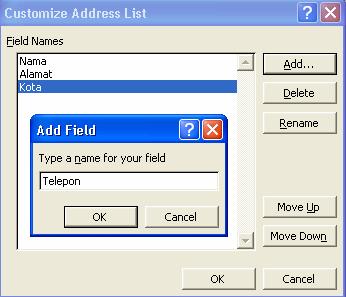 Klik customiz, kotak dialog Customiz Address List tampil. Hapus seluruh field dan buat field baru yang sesuai. 6. Kotak dialog New Adress List tampil dengan field-field baru. Isilah data tersebut.