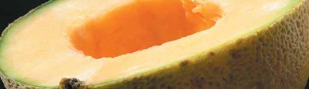 Melon Hibrida Varietas Kanaya Inventor : Sudarmadi P., Saiful Hosni, Sunyoto, Makhful, Dedy Djatmiadi, Hamidi. Status Perlindungan HKI : Pendaftaran Varietas No.
