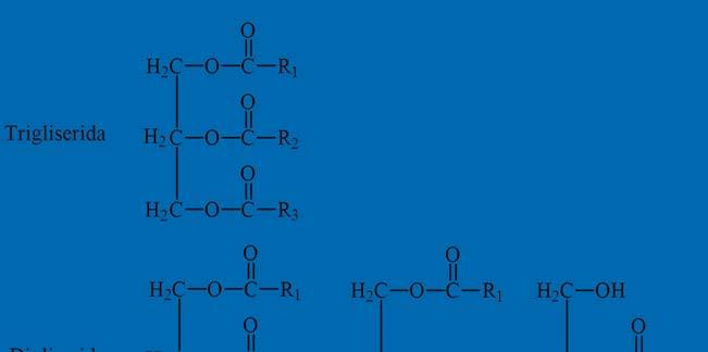 Lipid: adalah senyawa tidak larut dalam air yang dapat diekstrak dari komponen penyusun sel dengan menggunakan pelarut non polar (pelarut hidrokarbon, karbon tetrakhlorida dll.