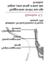 2. Tenggorokan Tenggorokan merupakan bagian dari organ pernapasan.