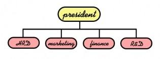 Tiga tipe Struktur Organisasi 1. Functional Organization Structure, yakni struktur organisasi dimana pembagian divisinya berdasarkan fungsinya masing-masing.
