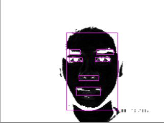 mendeteksi setiap titik pada fitur wajah yang aktif melakukan gerakan, sehingga antara titiktitik hasil pendeteksian dan titik-titik aktual (ditentukan secara manual) memiliki pergeseran piksel yang