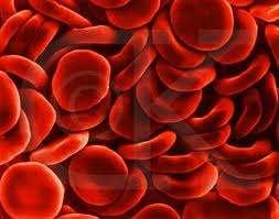 Istilah medis yang berkaitan dengan darah diawali dengan kata hemo- atau hemato- yang berasal dari bahasa Yunani haima yang berarti darah. Gambar 2.10 Darah Darah manusia adalah cairan jaringan tubuh.