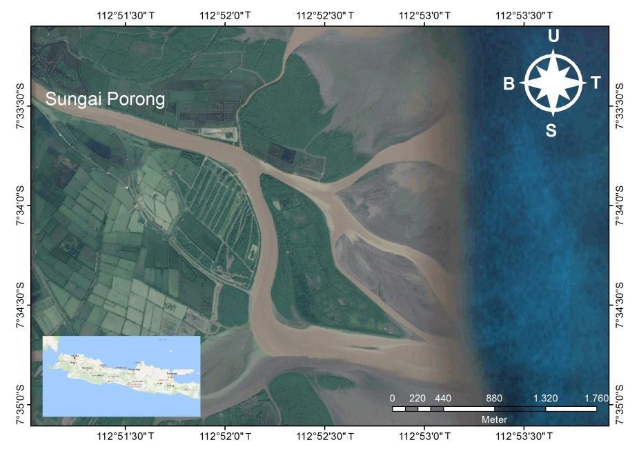 30x30 m (Angkotasan, dkk. 2012). Lokasi penelitian yaitu di Muara Sungai Porong, Sidoarjo dengan titik koordinat 7 32'58.35" LS dan 112 52'5.18" BT hingga 7 35'17.50" LS dan 112 52'33.04" BT.