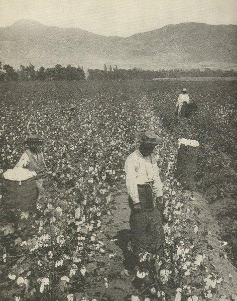 Early 20th century USA photo: "Negroes