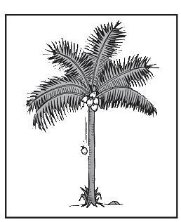 96 III. Materi ajar GAYA GRAVITASI Pernahkah kamu melihat buah yang jatuh dari pohonnya? Ke mana arah jatuhnya buah tersebut? Buah kelapa itu jatuh ke bumi.