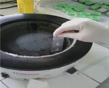 memasukkan kedalam water bath suhu 60 0 C. Setelah proses floating selesai, barulah dilakukan deparafinasi dengan menggunakan hot plate /oven.