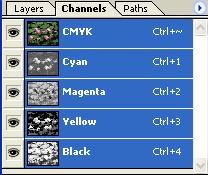4 channels masing-masing untuk warna cyan, magenta, yellow, dan black (CMYK). Gambar 3.