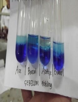 biru jernih serta terbentuk endapan putih Larutan bawah Asetofenon larutan 2 fase berwarna biru