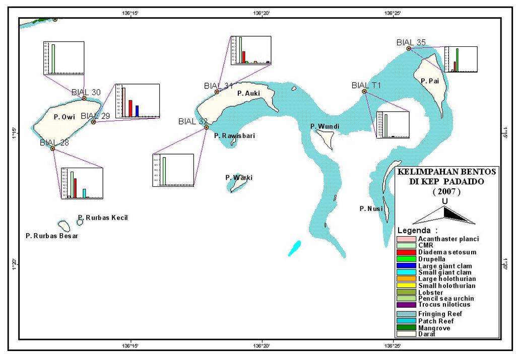 Gambar 11. Kelimpahan megabentos (individu/ha) hasil monitoring dengan metode Reef Check di perairan pulau-pulau Padaido Bawah.