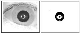 Kehalusan batas melingkar kabur dari gambar pupil dengan menerapkan filter rata-rata untuk memudahkan deteksi batas pupil. Langkah4: Temukan pusat pupil dengan menggunakan Algoritma 2 2.