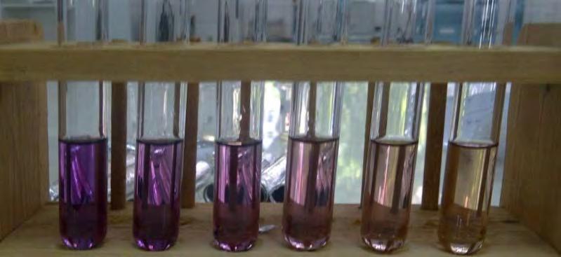 A B C D E F Gambar 2 Daya Peredam Radikal Bebas Buah Pepino Ungu Secara Reaksi warna Keterangan gambar 2: A = 4,0 ml larutan DPPH 0,004% + 2,0 ml etanol p.a menunjukkan warna ungu.