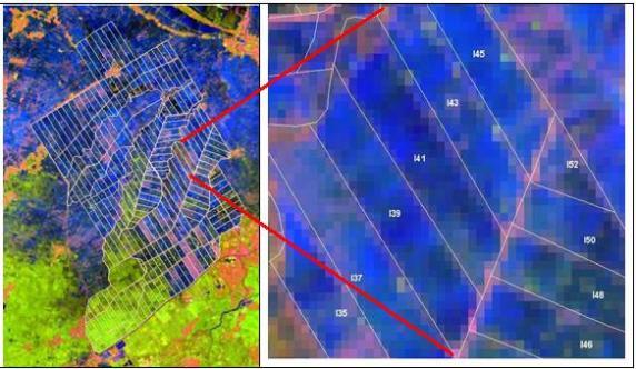pemanfaatan data satelit resolusi tinggi untuk estimasi luas panen tanaman padi di sentra produksi padi. Selain pengumpulan data/informasi dengan mendatangi PT.