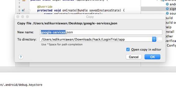 paste file googleservices.