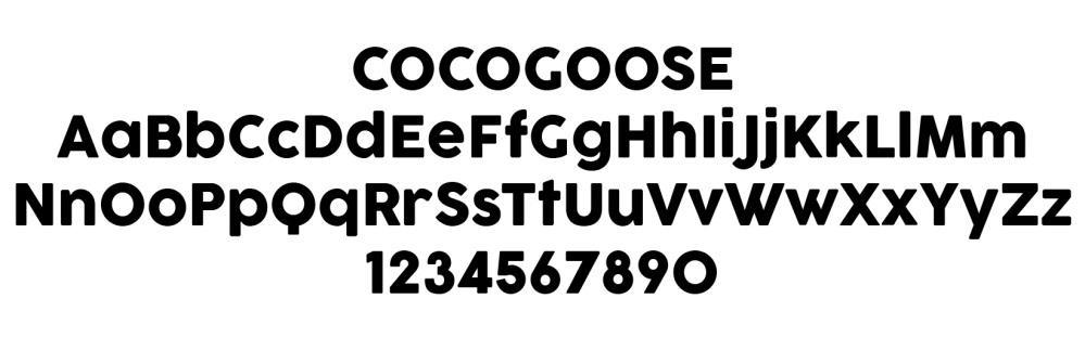 Gambar 4.3 Typeface IV.2.