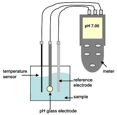 Seperti halnya elektrode kaca, di dalam elektrode referensi juga digunakan larutan HCl (elektrolit) yang merendam elektrode Ag/AgCl.