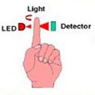 Transmittan Reflektan cahaya ditransmisikan melalui jaringan kemudian cahaya
