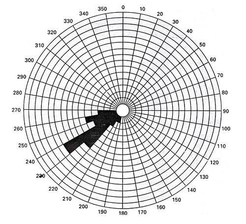 2. Diagram Roset Pada prinsipnya cara pembuatan diagram roset sama dengan diagram kipas, perbedaaannya terletak pada bentuknya, diagram kipas berbentuk setengah lingkaran dengan arah NE dan NW