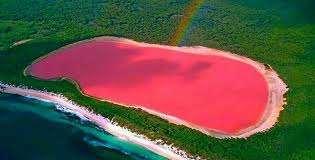 Pendahuluan Hillier Lake merupakan salah satu danau yang berwarna pink di Middle Island, pulau terbesar dari pulau-pulau lain yang membentuk Kepulauan Recherche, Australia Barat.