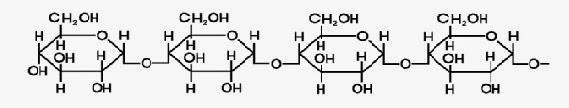Rafinosa, suatu oligosakarida Polisakarida Puluhan bahkan ribuan glukosa akan berikatan melalui ikatan glikosidik membentuk polisakarida.