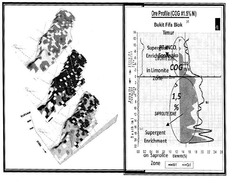 Gambar 7. Distribusi serta kadar nikel daerah Sorowako, Sulawesi Selatan 2.