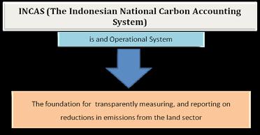 Gambar 15. INCAS (The Indonesian National Carbon Accounting System) Hal-hal yang dapat dilakukan oleh program INCAS / Remote Sensing, yaitu: 1.