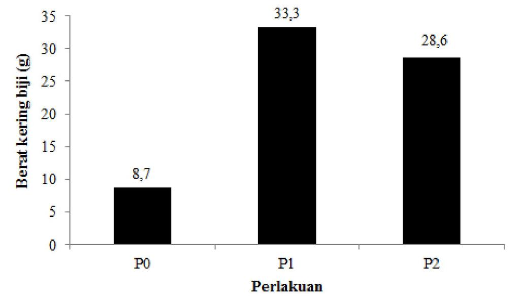 Widasaranti et al.: Pengaruh Teknik Penyelubungan Buah 377 Gambar 4. Diagram batang berat kering biji; Bar = galat baku.