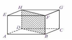 Diagonal ruang pada balok adalah ruas garis yang menghubungkan dua titik sudut yang masing-masing terletak pada sisi atas dan sisi alas yang tidak terletak pada satu sisi balok.