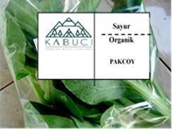pengelola. Rancangan pengemasan sayuran organik dapat dilihat pada Gambar 9. Gambar 9 4.