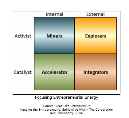 Thornberry (2006) menggolongkan tipe kepemimpinan entrepreneurial menjadi dua kelompok yaitu pertama adalah catalyst yaitu pemimpin yang berperan sebagai katalis, tipe pemimpin ini dapat menciptakan