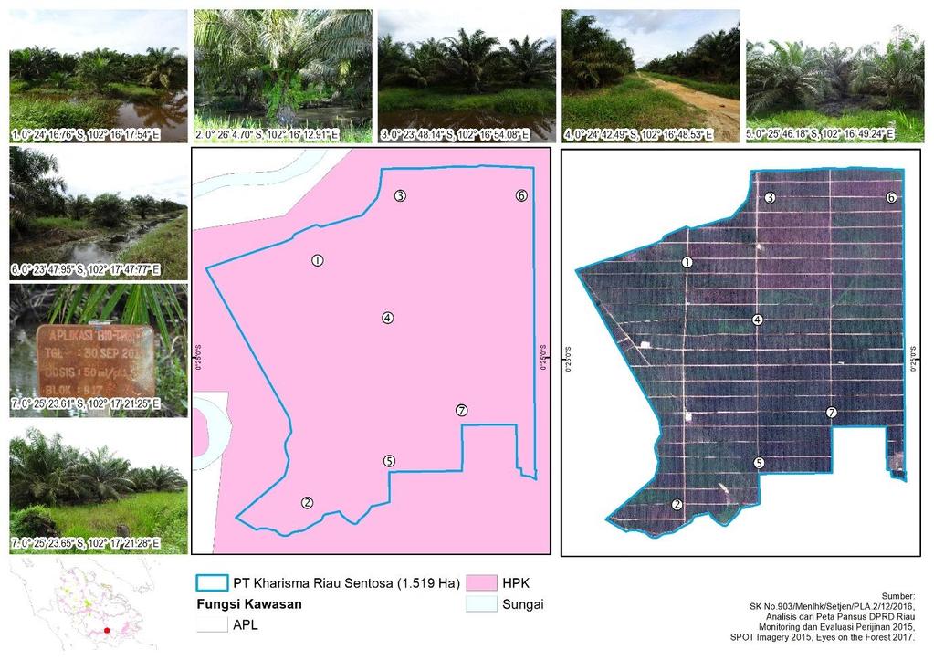 14 pemantauan lapangan oleh EoF pada bulan November 2017, keseluruhan areal tersebut telah ditanami kelapa sawit yang berumur antara 5-10 tahun.