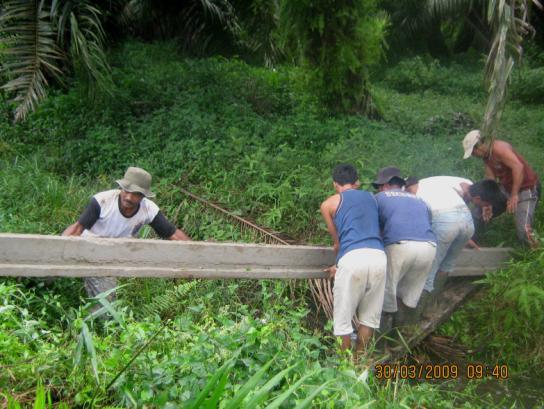Titi panen yang rusak akan menyebabkan terganggunya kegiatan produksi dan pemeliharaan kelapa sawit.