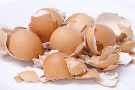 Cangkang telur Sebagai katalisator (CaCO3) untuk