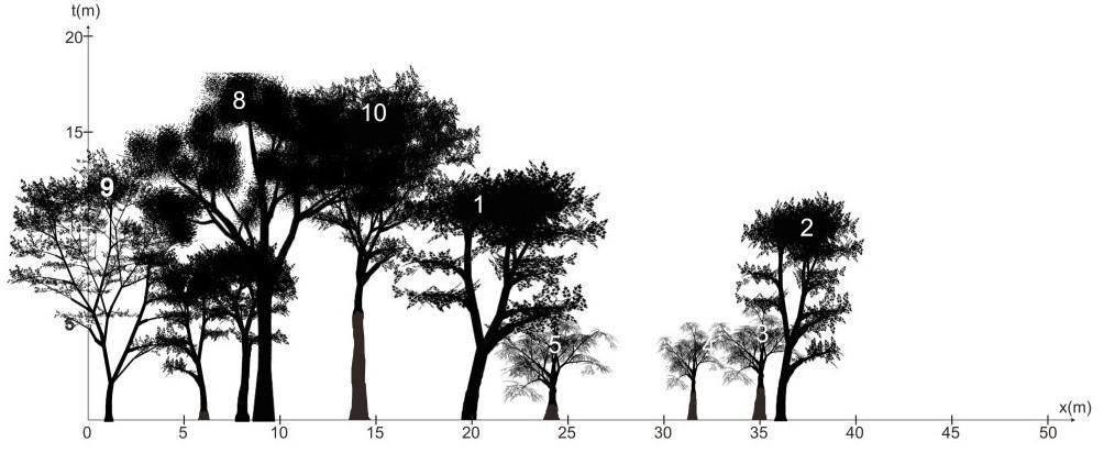 76 Lampiran 4 Diagram profil vertikal dan horizontal vegetasi pekarangan 1. Plot contoh Sangat Rindang (SR) pada jarak 500 m dari titik acuan Keterangan: 1. Dimocarpus longan 6.