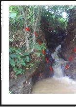 Gambar 3.5. Sungai yang sempit dan curam (kiri) dan sungai yang relatif lebar dan tidak curam (kanan) menunjukkan perbedaan tahap erosi yang terjadi pada sungai tersebut. 3.1.