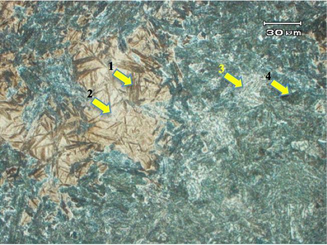 Etsa Nital 5% Gambar 7. Foto struktur mikro baja as-cast (no. 1), stuktur yang terbentuk widmanstatten ferit.
