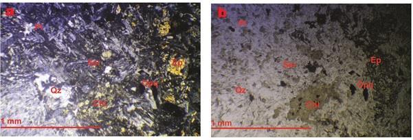 (c,d) Zoisite sebagai mineral ubahan plagioklas. Gambar 9.
