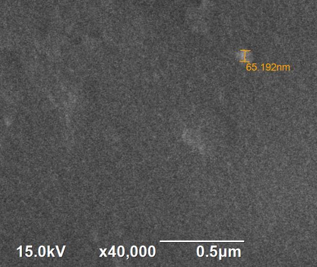 Hasil pencitraan Emission Scanning Electron Microscopy(FE-SEM) untuk sampel nanopartikel magnesium ferit Mapping dari spektrum unsur nanopartikel magnesium ferit seperti pada gambar 7 ditampilkan